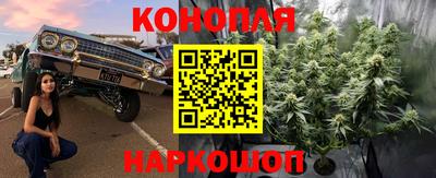 PSILOCYBIN Краснознаменск
