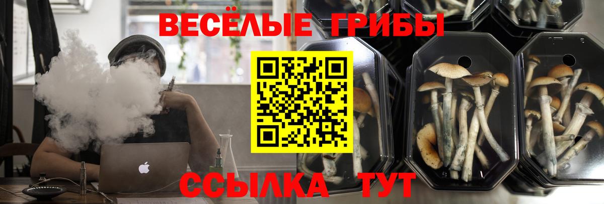 Псилоцибиновые грибы Magic Shrooms Южноуральск